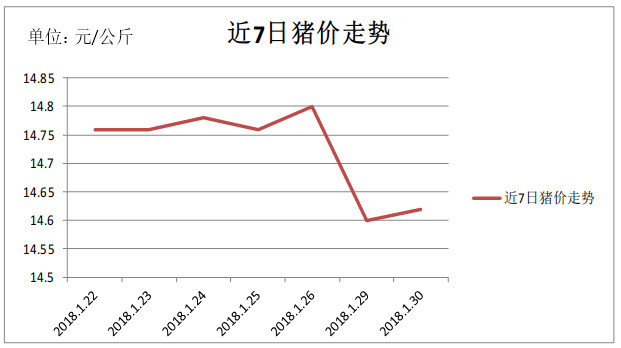 今日豬價走勢深度解析